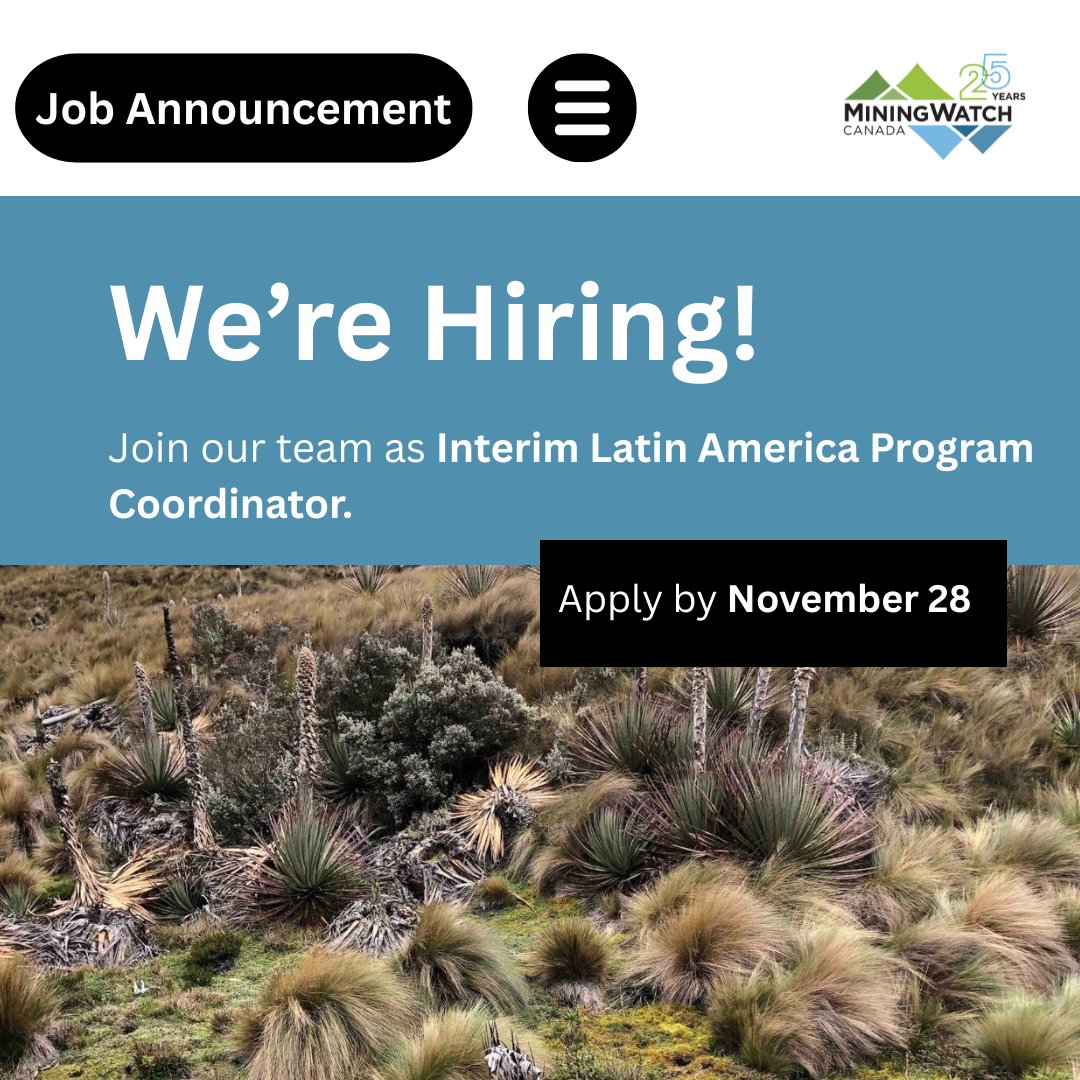 Graphic job ad with the text "we're hiring"!